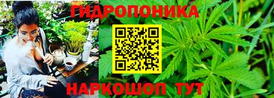 гидра Краснознаменск