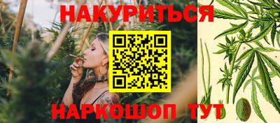 гидра Краснознаменск