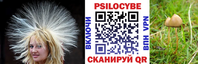 Галлюциногенные грибы мицелий  Ессентуки 
